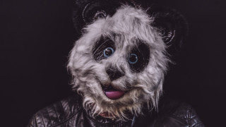 Panda leather jacket fur collar - a panda bear free wallpaper