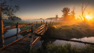 Wooden bridge river sunset fog - fog in the air and trees free wallpaper