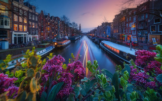 Canal flowers urban sunset architecture - a long exposure of light free wallpaper