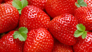Strawberries greenleaves redbackground whiteborder precisionism - strawberry free wallpaper for desktop
