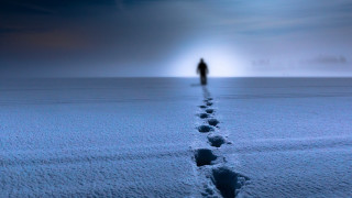 Lone walker snow field footprints - footprint free wallpaper