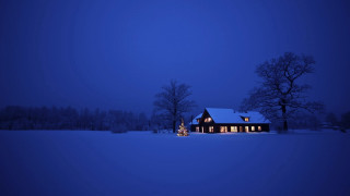 House christmas tree snow night 2 - the dark free wallpaper