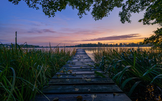Wooden walkway lake sunset reeds - free summer wallpaper