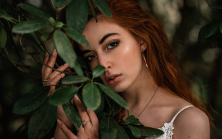 Red hair woman ring plant - a plant free wallpaper