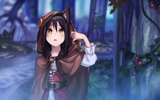 Woman forest brown hoodie anime - anime art style free wallpaper
