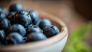 Blueberries green leaf blurry bokeh - berry free wallpaper