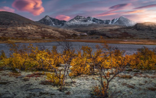 Mountain lake trees pink sky - a lake and trees free wallpaper