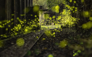 Train leaves building light bokeh - cerith wyn evans free wallpaper