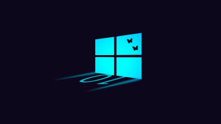 Window butterfly shadow backlit illustration - the dark room free wallpaper for desktop
