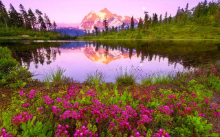 Mountain lake reflection wildflowers sunset - bob thompson free wallpaper for desktop