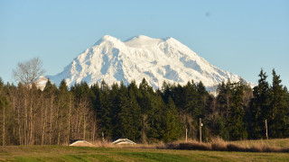 Mountain snow peak trees field - a snow free wallpaper for desktop