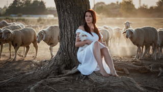 Woman white dress sitting tree - anka zhuravleva free wallpaper for desktop