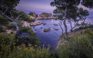 Lake sunset forest bush cherry - a purple sky above free wallpaper for desktop