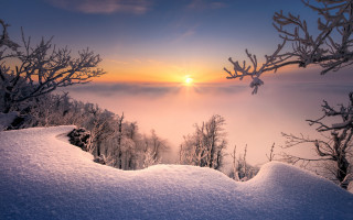 Sunset snowy mountain trees foggy - choi buk free wallpaper