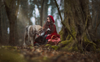 Woman red cloak wolf forest - her lap free wallpaper