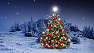 Christmas tree snow star aurora - a christmas tree free wallpaper for desktop