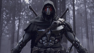 Hooded suit man swords forest - vanita free wallpaper for desktop