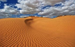 Sandy desert landscape clouds trees - the other side free wallpaper for desktop