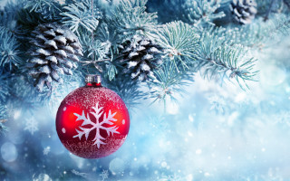 Red ornament snowy branch christmas - pine free wallpaper