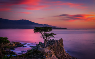 Lone tree rock water sunset - carl critchlow free wallpaper for desktop