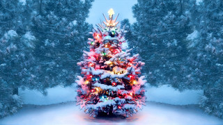 Christmas snow lit tree nature - covered free wallpaper