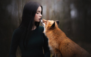 Woman fox kissing woods fog - leesha hannigan free wallpaper