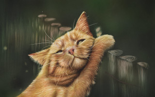 Cat reaching fencepost paw looking - a digital painting free wallpaper