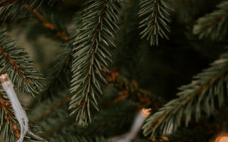 Christmas white ornament bamboo fireworks - shallow depth of field free wallpaper for desktop