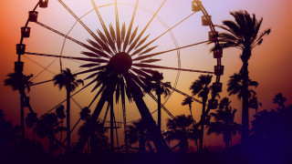 Ferris wheel palm trees sunset - a colorful sky in the background free wallpaper