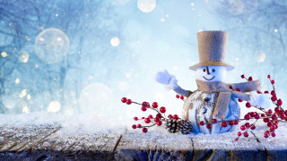 Snowman top hat scarf berries - a snowman free wallpaper