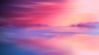 Blurry sky birds clouds pink - hue free wallpaper