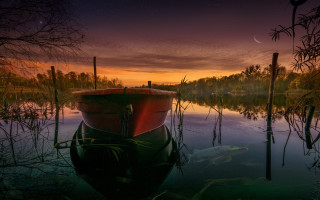 Boat sunset fish water magic - a fish swimming free wallpaper