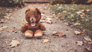 Teddy bear open mouth dirt - mouth wide open free wallpaper for desktop