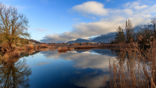 Lake mountains trees cloudy sky 3 - tree and mountains under a cloudy sky free wallpaper