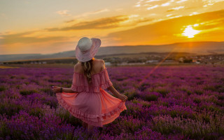 Woman pink dress hat lavender - a field of lavender free wallpaper