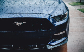 Mustang rain hood vents cobra - detailed face free wallpaper