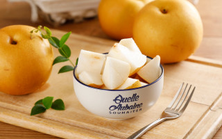 Apple slices knife oranges stilllife - two orange free wallpaper