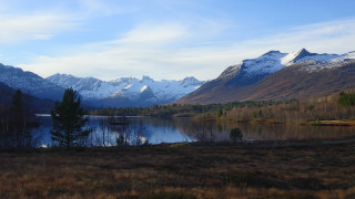 Mountain lake snow capped trees - a mountain range free wallpaper