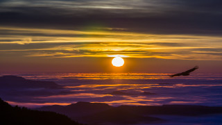 Bird sunset mountain clouds ocean - arthur pan free wallpaper