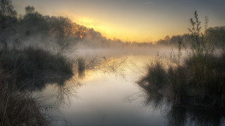 Foggy river trees bushes yellow - a plane free wallpaper