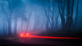 Foggy forest car red light - long exposure free wallpaper