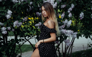 Woman polka dot dress purple - a woman in a polka dot dress free wallpaper