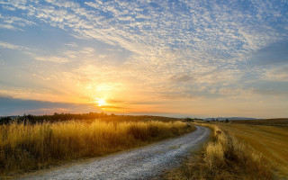 Dirt road sunset clouds mountain 2 - a dirt road in a field free wallpaper for desktop