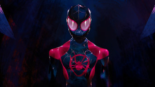 Man red black spiderman mask 2 - his face and chest free wallpaper