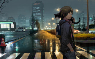 Night city street cat hoodie - city background free wallpaper for desktop