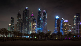 City skyline night palm trees 2 - tall building free wallpaper