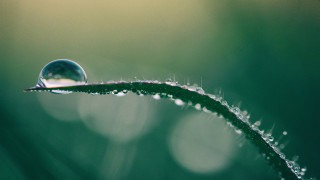 Water drop green leaf macro 3 - surface and a blurry background free wallpaper