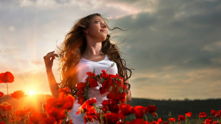Woman redflowers sunset breeze cinematic - andrey ryabovichev free wallpaper