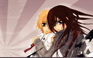 Anime girl long hair white 8 - a sunburst free wallpaper