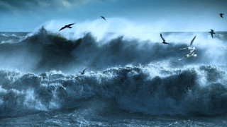 Birds wave ocean mountain night - in the ocean free wallpaper